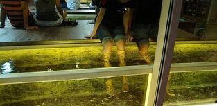 另另类按摩在线视频,在线视频揭秘独特放松技巧