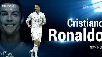 西欧高清在线视频免费,免费在线视频之旅