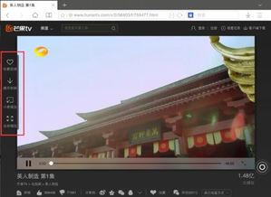 在线视频没有播放按键,探索全新在线视频体验