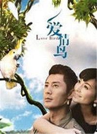 爱情鸟在线视频免费看,在线视频带你领略浪漫风采