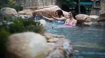 日韩温泉在线视频,在线视频带你领略泡汤文化魅力