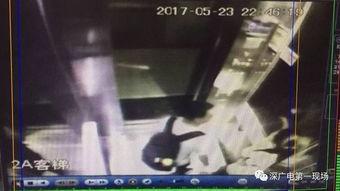 色内内在线视频