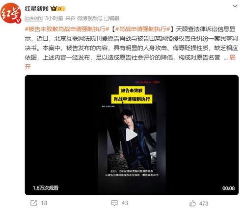 日本他人棒在线视频,一场视觉与心理的双重冲击