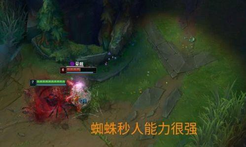 lol蜘蛛打野在线视频,在线视频解析高胜率打野技巧